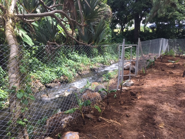land highlands riverside mauritius